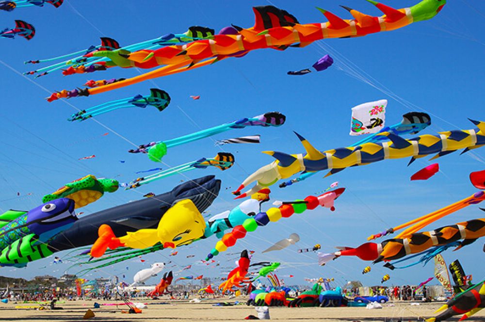 Speciale  Offerta Ponti di Primavera