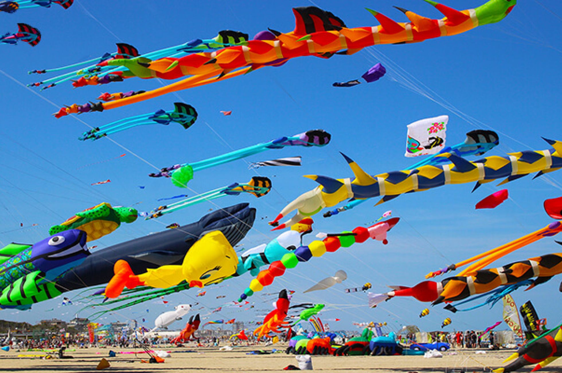 Speciale  Offerta Ponti di Primavera